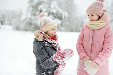 Two adorable young girls having fun together in beautiful winter park. Cute sisters playing in a...