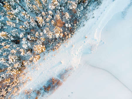 Beautiful aerial view of snow covered pine forests aroung Gela lake. Rime ice and hoar frost covering trees. Scenic winter landscape near Vilnius, Lithuania.の写真素材
