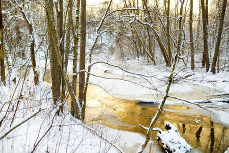 Beautiful view of snow covered forest. Narrow river flowing between snow covered trees. Chilly...