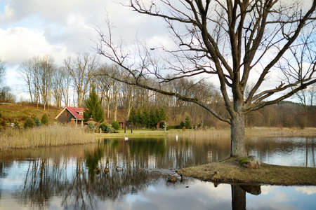 Small pond or lake on nice early spring day. Birds in nature.の写真素材