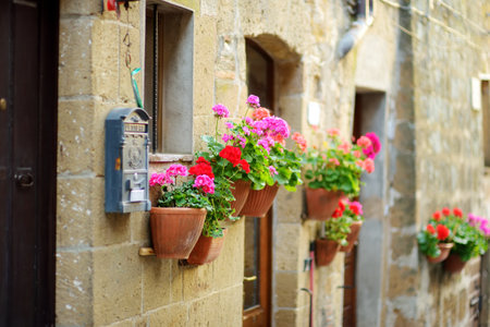 Flowers on narrow old streets of the famous Pitigliano town, located atop a volcanic tufa ridge. Beautiful italian towns and villages. Etruscan heritage, Grosseto, Tuscany, Italy.の写真素材