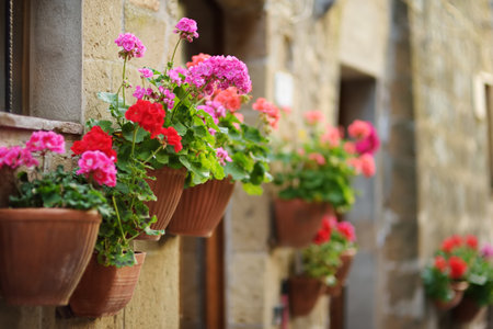 Flowers on narrow old streets of the famous Pitigliano town, located atop a volcanic tufa ridge. Beautiful italian towns and villages. Etruscan heritage, Grosseto, Tuscany, Italy.の写真素材