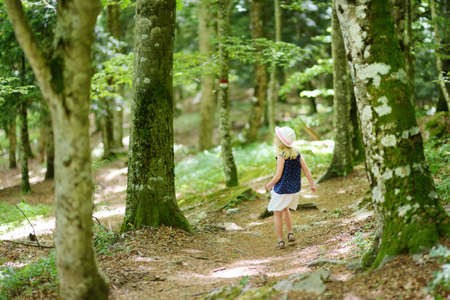 Young girl following a footpath around La Verna Sanctuary, Chiusi della Verna, in Casentino secular forest, one of the largest forest in Europe. Foreste Casentinesi, Tuscany, Italy.の写真素材
