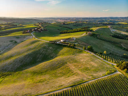 Aerial view of endless rows of grapevines around San Gimignano town. Vineyards, plantations of grape-bearing vines grown mainly for winemaking in Tuscany, Italyの写真素材