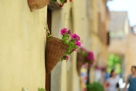Flowers in the streets of Pienza, a village located in the beautiful Tuscany valley, known as the...
