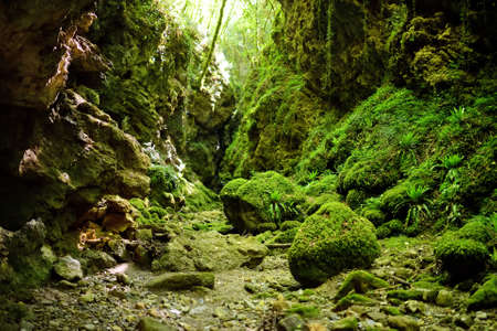 Botro ai Buchi del Diavolo (Devil's Gorge), rocky gorge hiking trail, leading along dried up river....