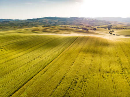 Stunning aerial morning view of fields and farmlands with small villages on the horizon. Summer rural landscape of rolling hills, curved roads and cypresses of Tuscany, Italy.の写真素材
