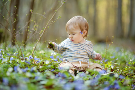 Adorable toddler boy having fun during a hike in the woods on beautiful sunny spring day. Active family leisure with kids. Child exploring nature.の写真素材