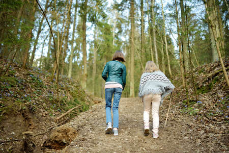 Adorable young sisters having fun during a hike in the woods on beautiful sunny spring day. Active...