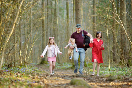 Young father and his three kids hiking in the woods. Family of four having fun on a walking trail on sunny spring day. Exploring nature with children.の写真素材