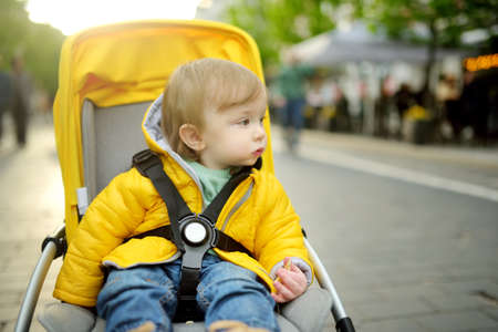 Sweet toddler boy sitting in a stroller outdoors. Little child in pram. Infant kid in pushchair....