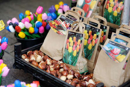 AMSTERDAM - AUGUST 2011: Assorted flower bulbs and souvenirs sold in flower shop in Amsterdam, Netherlands, Holland.のeditorial素材