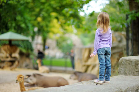 Cute little girl watching animals at the zoo on warm and sunny summer day. Child admiring zoo animals. Family time at zoo.の写真素材