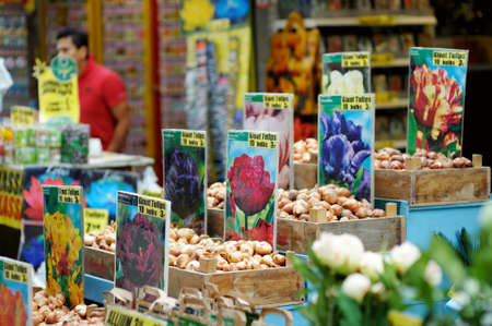 AMSTERDAM - AUGUST 2011: Assorted flower bulbs and souvenirs sold in flower shop in Amsterdam, Netherlands, Holland.のeditorial素材
