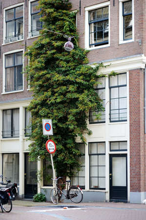 Porch of a house decorated with flower pots and green plants in a typical Amsterdam street, Holland, Netherlandsの写真素材
