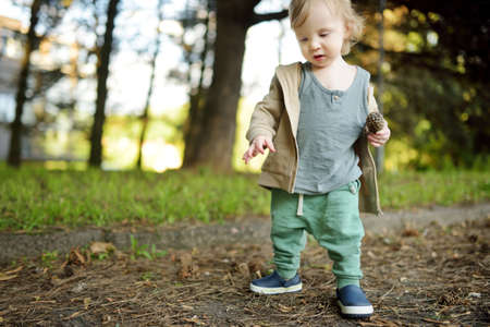 Funny toddler boy having fun outdoors on sunny summer day. Child exploring nature. Summer activities...
