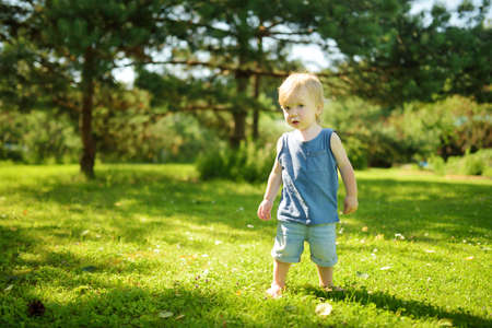 Funny toddler boy having fun outdoors on sunny summer day. Child exploring nature. Summer activities for small kids.の写真素材