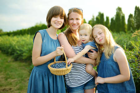 Mother and her three children picking fresh berries on organic blueberry farm on warm and sunny summer day. Fresh healthy organic food for kids. Family activities in summer.の写真素材