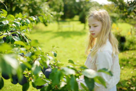 Cute young girl having fun outdoors on sunny summer evening. Child exploring nature. Summer activities for kids.の写真素材
