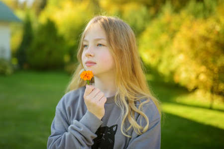 Adorable young girl having fun on beautiful autumn day. Happy child playing in autumn park. Kid gathering yellow fall foliage. Autumn activities for children.の写真素材