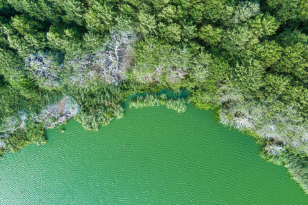 Beautiful aerial view of lake Plaze in Klaipeda district, where bird lovers can watch the lake's water birds up close. Scenic summer evening landscape, Kretingale, Lithuaniaの写真素材
