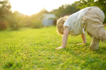 Funny toddler boy having fun outdoors on sunny summer day. Child exploring nature. Summer activities for small kids.の写真素材