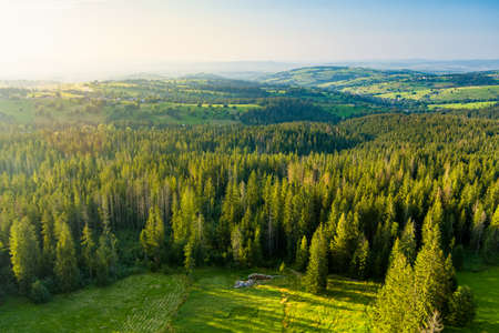 Aerial view of Tatra Mountains taken from the Gubalowka mountain range. High mountains and green hills in summer or spring. Scenic mountain view in Poland.の写真素材