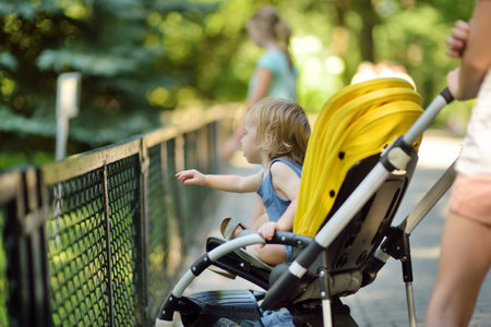 Cute toddler boy in a stroller watching animals at the zoo on warm and sunny summer day. Child admiring zoo animals. Family time at zoo.の写真素材