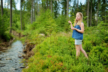 Young girl near cold shallow stream winding through majestic pine trees of Tatra mountain range near Zakopane, Poland. Beautiful Low Tatras alpine landscape with forest in the foregroundの写真素材