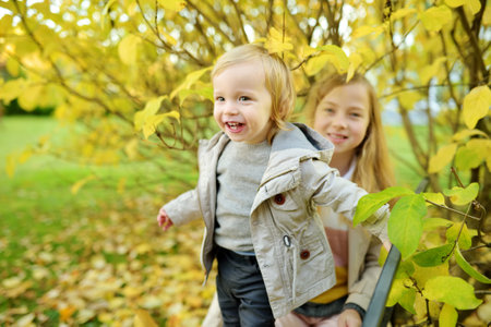 Funny toddler boy and his older sister having fun outdoors on sunny autumn day. Children exploring nature. Kids walking in a city park. Autumn activities for small kids.の写真素材
