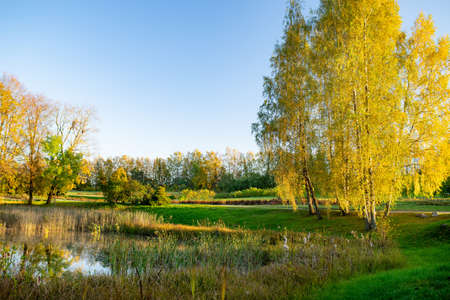 Colorful city park scene in the fall with orange and yellow foliage. Beautiful autumn scenery in...