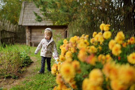 Funny toddler boy having fun outdoors on sunny autumn day. Child exploring nature. Kid playing in a...