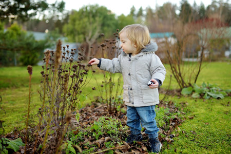 Funny toddler boy having fun outdoors on chilly autumn day. Child exploring nature. Autumn activities for small kids.の写真素材
