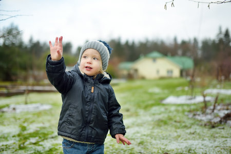 Funny toddler boy having fun outdoors on chilly winter day. Child exploring nature. Winter activities for small kids.の写真素材