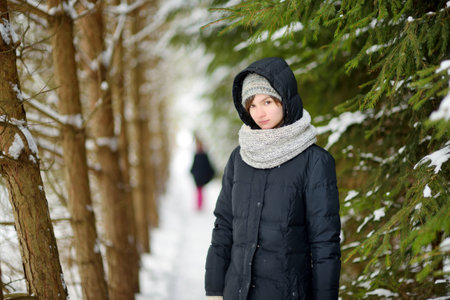 Cute young girl having fun on a walk in snow covered pine forest on chilly winter day. Child exploring nature. Winter activities for kids.の写真素材