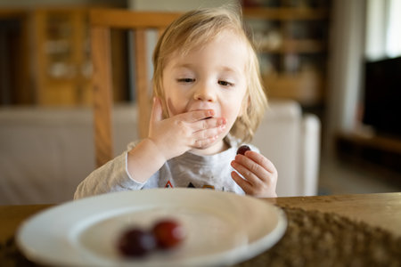 Cute little toddler boy eating grapes at home. Fresh organic frutis for infants. Healthy nutrition for family with kids.の写真素材