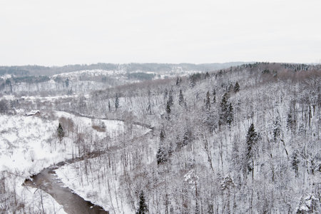 Beautiful aerial view of snow covered pine forests and a river winding among trees. Rime ice and hoar frost covering trees. Scenic winter landscape near Vilnius, Lithuaniaのeditorial素材