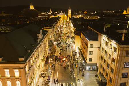 Aerial night view of the celebration of Restoration of the State Day in Vilnius. Bonfires are lit on Gediminas avenue on festive night on February 16.のeditorial素材