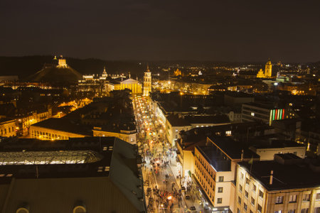 Aerial night view of the celebration of Restoration of the State Day in Vilnius. Bonfires are lit on Gediminas avenue on festive night on February 16.のeditorial素材