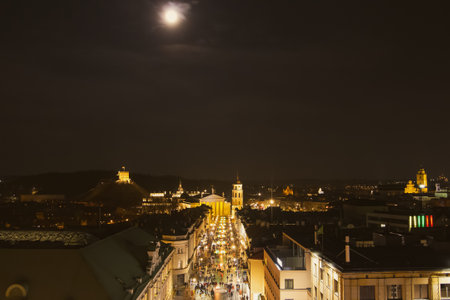 Aerial night view of the celebration of Restoration of the State Day in Vilnius. Bonfires are lit on Gediminas avenue on festive night on February 16.のeditorial素材