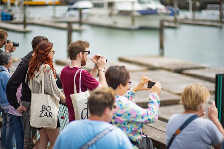 SAN FRANCISCO, USA - APRIL 2016: Famous Pier 39 in San Francisco with sea lions resting on wooden...