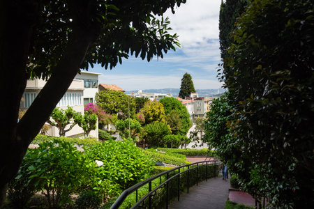 SAN FRANCISCO, USA - APRIL 2016: Famous Lombard street, one of the most famous landmark and the crookedest street in the world. San Francisco, California, USAのeditorial素材