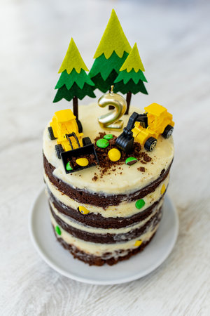 Birthday cake for two year old toddler boy, decorated with felt trees and construction vehicles. Car...