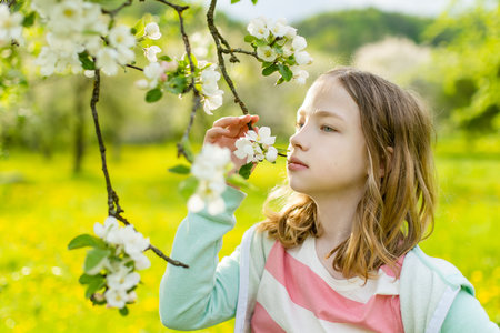 Adorable young girl in blooming apple tree garden on beautiful spring day. Cute child picking fresh apple tree flowers at spring.の写真素材