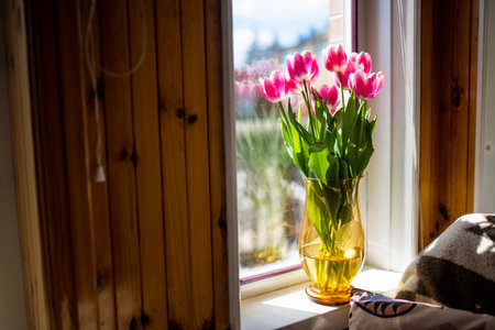 A bouquet of pink and white tulips in a vase on the windowsill. Beautiful pink flowers in a vase by the window.の写真素材