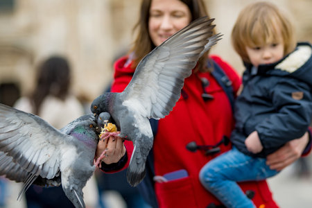 Young mother and her toddler son feeding the pigeons on the Cathedral Square or Piazza del Duomo in the center of Milan, Lombardy, Italy.の写真素材