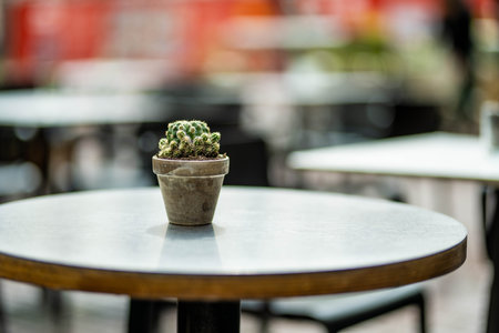 Empty small outdoor restaurant table decorated with little cactus in flower pot in the city of Bergamo, Lombardy, Italyの写真素材