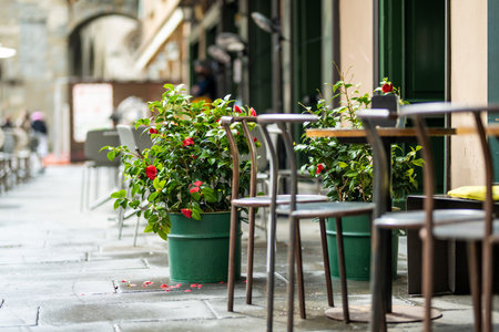 Empty small outdoor restaurant tables decorated with rose bushes in flower pots in the city of Bergamo, Lombardy, Italyの写真素材