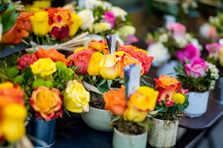 Beautiful colorful rose bouquets sold on outdoor flower shop in Milan, Italyの写真素材