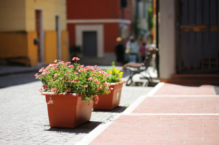 Beautiful flower pots on the street of Manarola, nestled in the middle of the five centuries-old villages of Cinque Terre, located on rugged northwest coast of Italian Riviera, Liguria, Italy.の写真素材